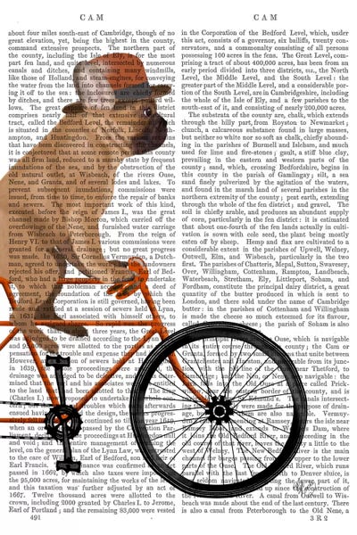 French Bulldog on Bicycle, Print BG