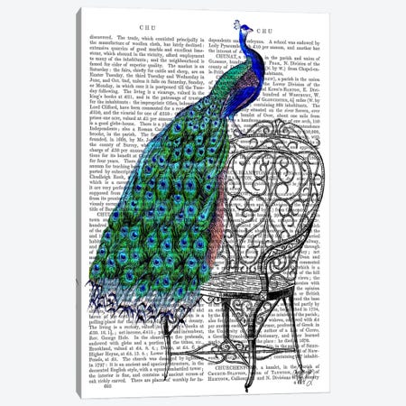 Peacock On Chair Canvas Print #FNK66} by Fab Funky Canvas Artwork