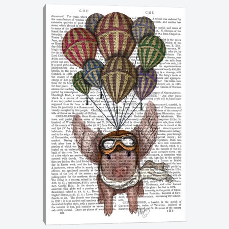 Pig And Balloons Canvas Print #FNK67} by Fab Funky Canvas Art