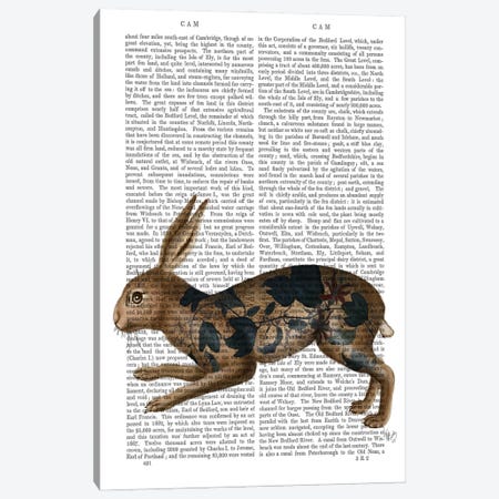 Hare and Black Leaves Canvas Print #FNK688} by Fab Funky Canvas Art