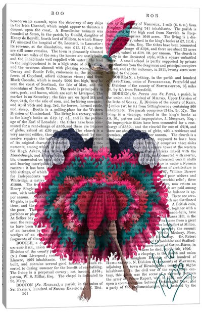Ostrich, Can Can in Pink and Turquoise, Print BG Canvas Art Print - Can-can