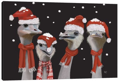 Ostrich, Christmas Gals Canvas Art Print - Ostrich Art