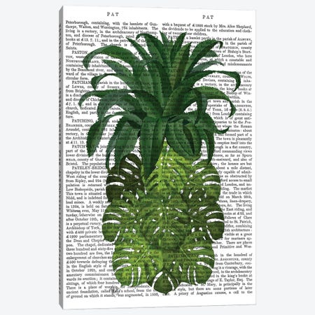 Pineapple, Monstera Leaf, Print BG Canvas Print #FNK741} by Fab Funky Canvas Print