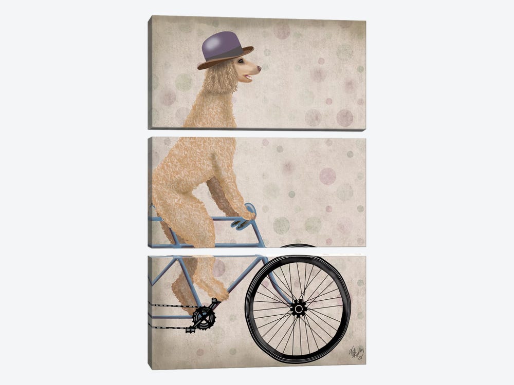 Poodle on Bicycle, Cream by Fab Funky 3-piece Canvas Art Print