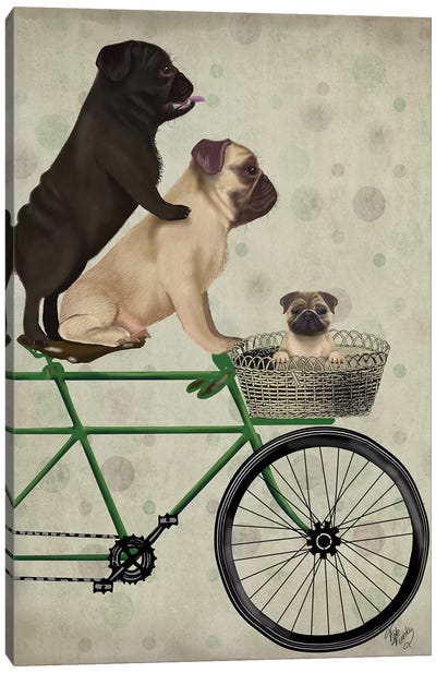 Pugs on Bicycle Canvas Art Print - Pug Art