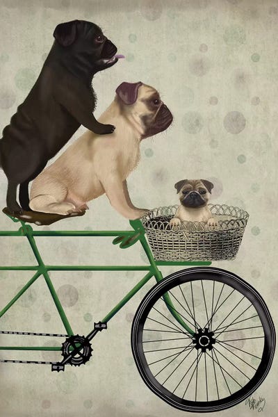 Pugs: Pugs on Bicycle by Fab Funky