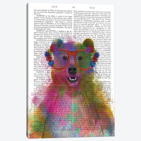 Rainbow Splash Bear, Print BG Canvas Print #FNK768} by Fab Funky Canvas Art Print