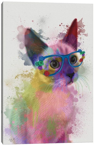 Rainbow Splash Cat II Canvas Art Print - Cat Art