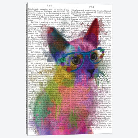 Rainbow Splash Cat II, Print BG Canvas Print #FNK772} by Fab Funky Canvas Art