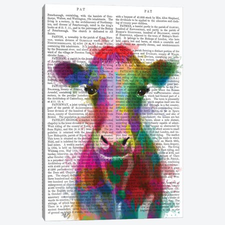 Rainbow Splash Cow, Print BG Canvas Print #FNK781} by Fab Funky Canvas Art Print