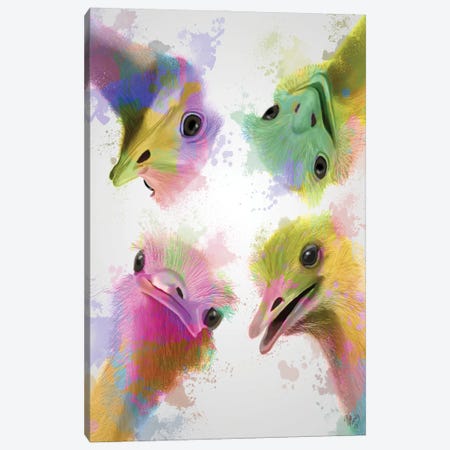 Rainbow Splash Four Ostriches Canvas Print #FNK790} by Fab Funky Canvas Wall Art