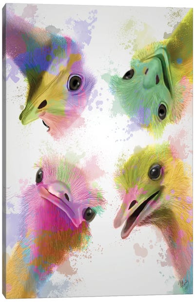 Rainbow Splash Four Ostriches Canvas Art Print - Ostrich Art