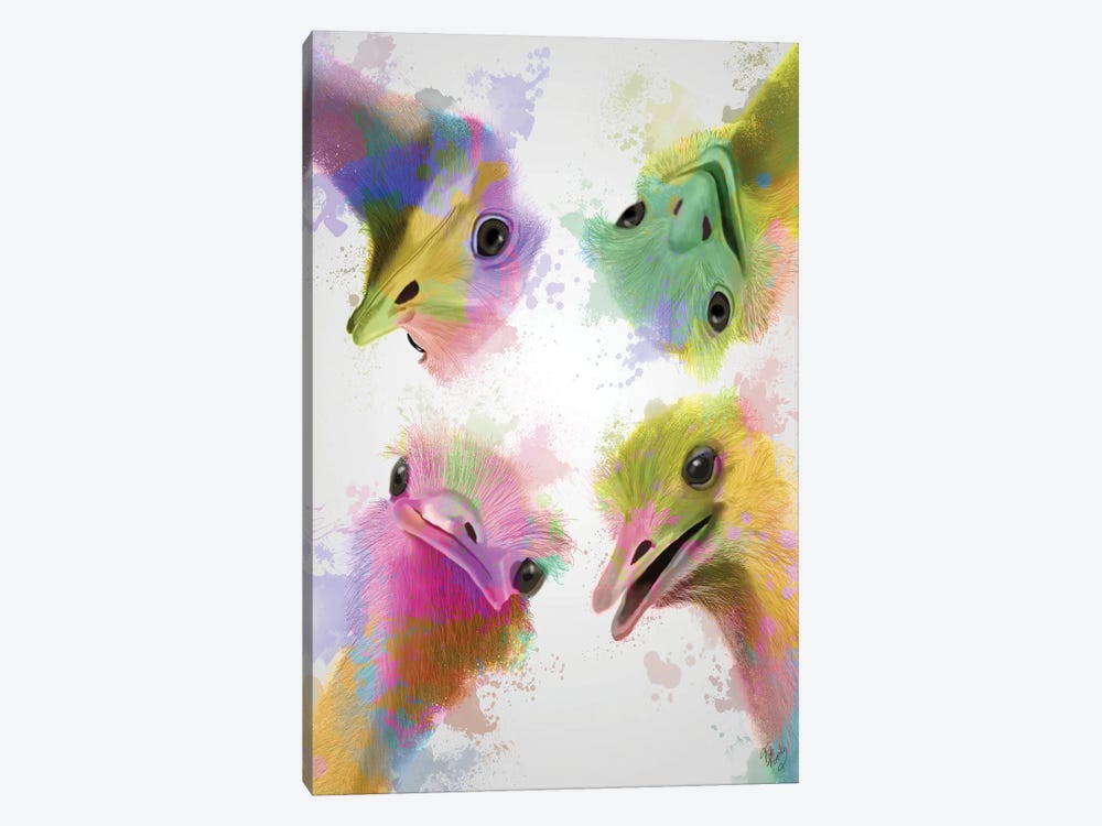 Rainbow Splash Four Ostriches by Fab Funky 1-piece Canvas Wall Art