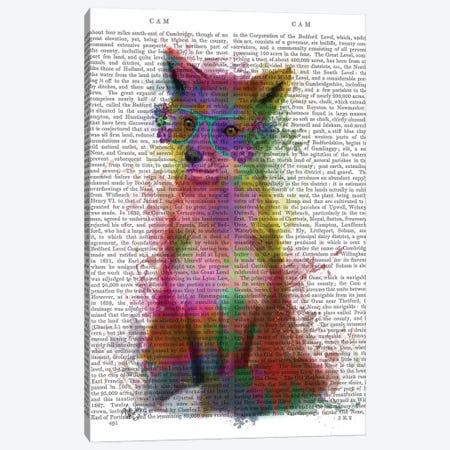 Rainbow Splash Fox I, Print BG Canvas Print #FNK794} by Fab Funky Canvas Art Print