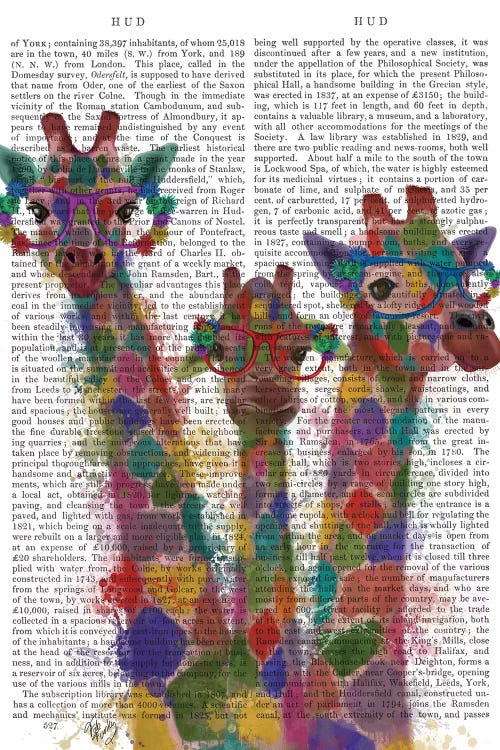 Rainbow Splash Giraffe Trio, Print BG