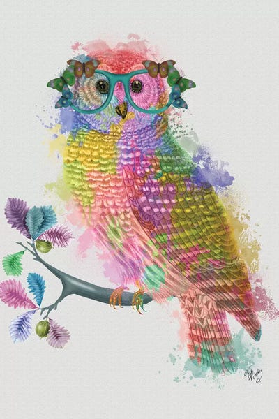 Rainbow Splash Owl