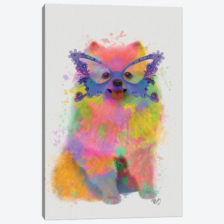 Rainbow Splash Pomeranian Canvas Print #FNK809} by Fab Funky Canvas Artwork