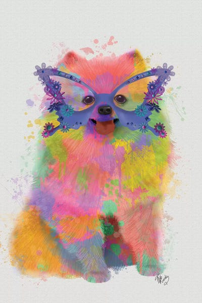 Rainbow Splash Pomeranian