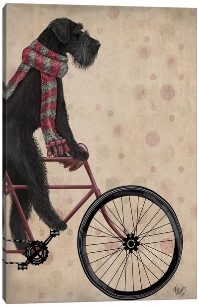 Schnauzer on Bicycle, Black Canvas Art Print
