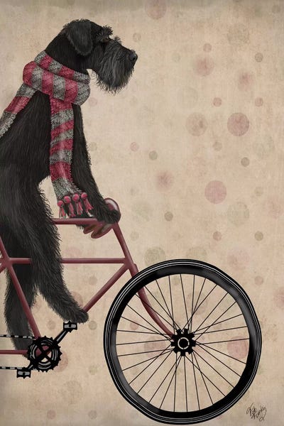 Schnauzers: Schnauzer on Bicycle, Black by Fab Funky