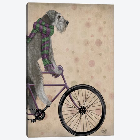 Schnauzer on Bicycle, Grey Canvas Print #FNK825} by Fab Funky Art Print