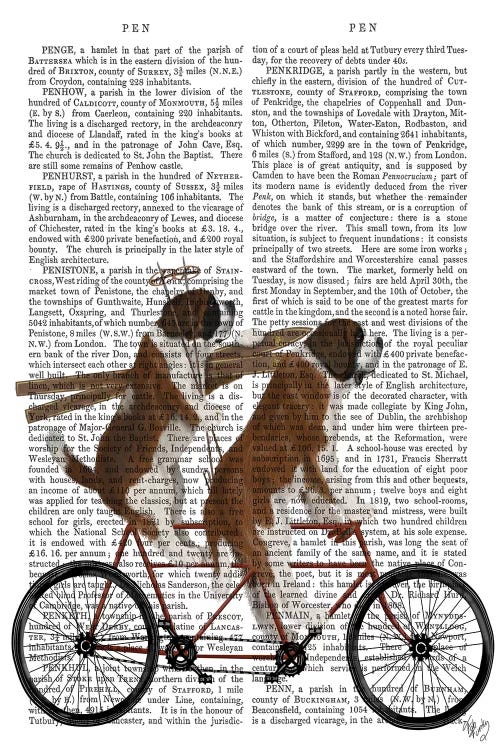 St. Bernard Tandem, Print BG by Fab Funky wall art