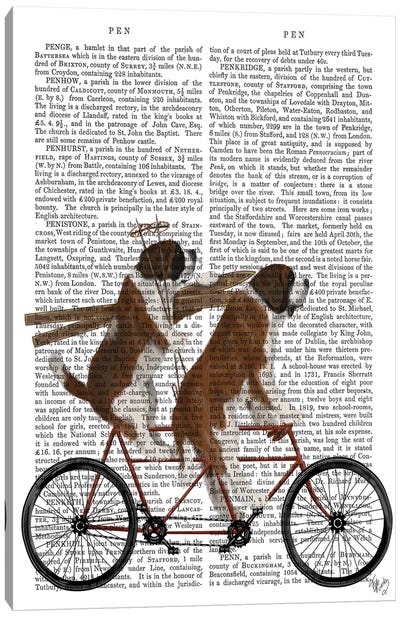 St. Bernard Tandem, Print BG Canvas Art Print - Cycling Art