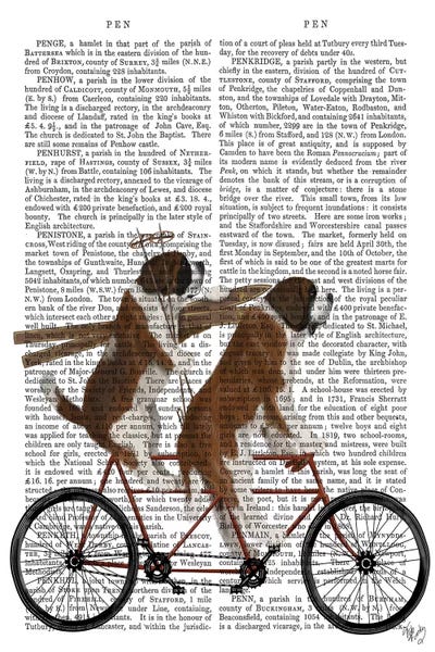 St. Bernards: St. Bernard Tandem, Print BG by Fab Funky