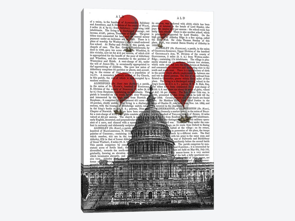 US Capitol Building 1-piece Canvas Print