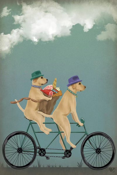 Bicycles: Yellow Labrador Tandem by Fab Funky