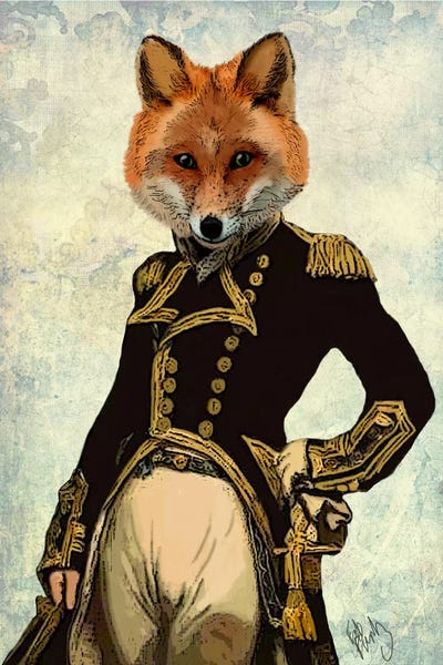 Costumes: Admiral Fox by Fab Funky