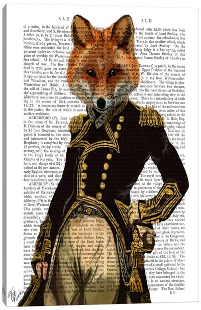 Admiral Fox, Print BG Canvas Art Print - Fab Funky