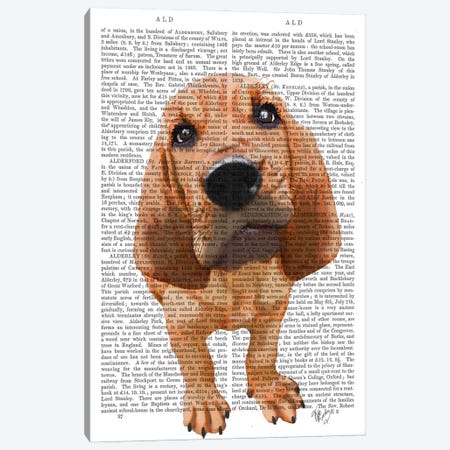 Bloodhound Puppy Canvas Print #FNK912} by Fab Funky Canvas Artwork