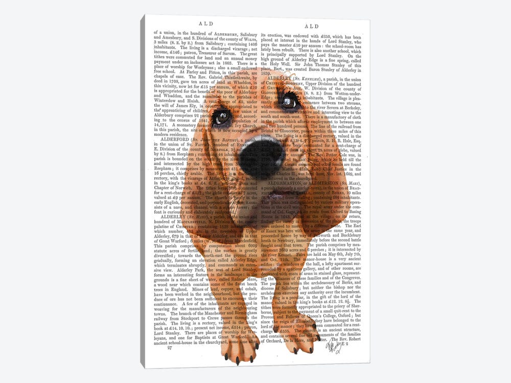 Bloodhound Puppy 1-piece Canvas Print