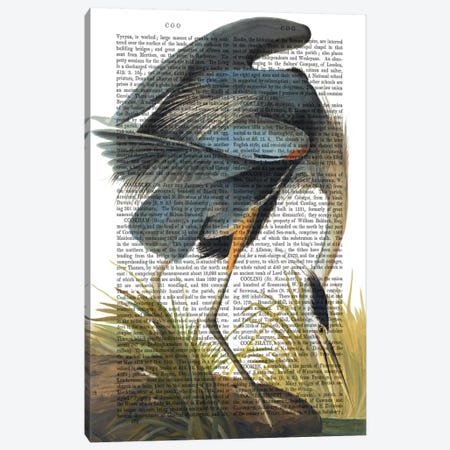 Blue Heron I Canvas Print #FNK919} by Fab Funky Canvas Art