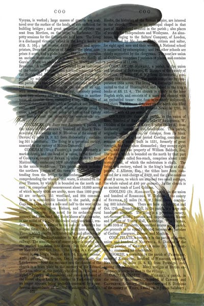 Blue Heron I