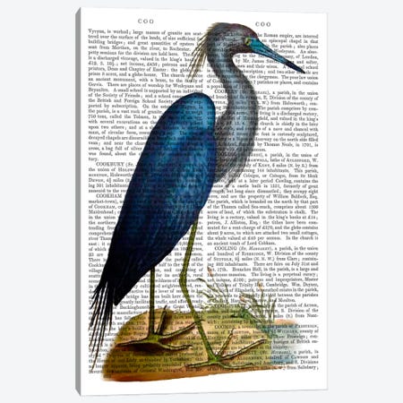 Blue Heron II Canvas Print #FNK920} by Fab Funky Canvas Art Print