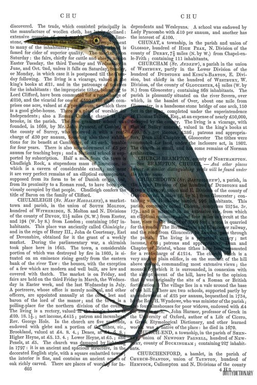 Blue Heron III