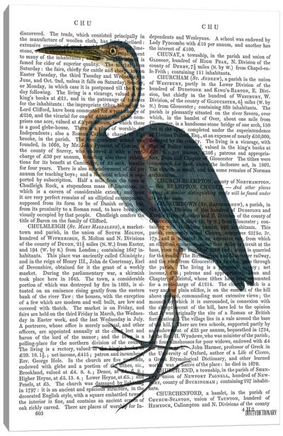 Blue Heron III Canvas Art Print - Fab Funky
