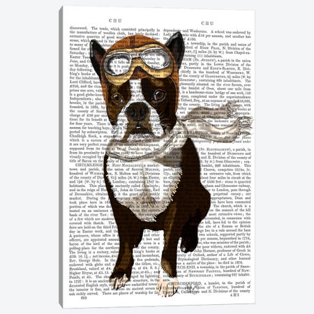 Boston Terrier Flying Ace Canvas Print #FNK933} by Fab Funky Canvas Wall Art