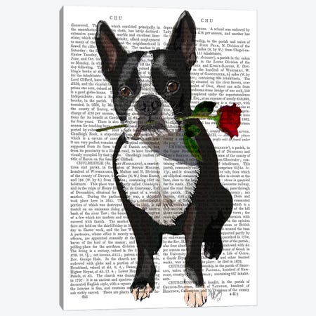 Boston Terrier With Rose In Mouth Canvas Print #FNK939} by Fab Funky Canvas Art