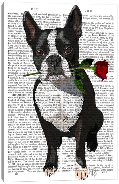 Boston Terrier With Rose In Mouth Canvas Art Print - Terriers