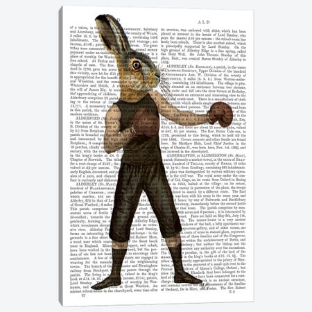 Boxing Hare Canvas Print #FNK942} by Fab Funky Art Print