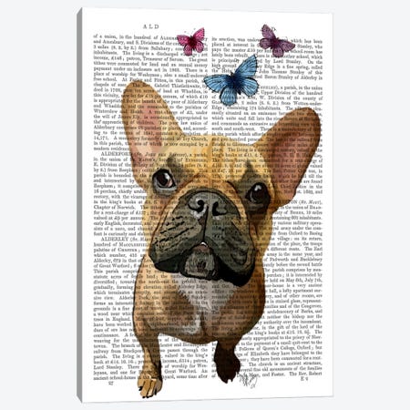 Brown French Bulldog & Butterflies Canvas Print #FNK945} by Fab Funky Canvas Art