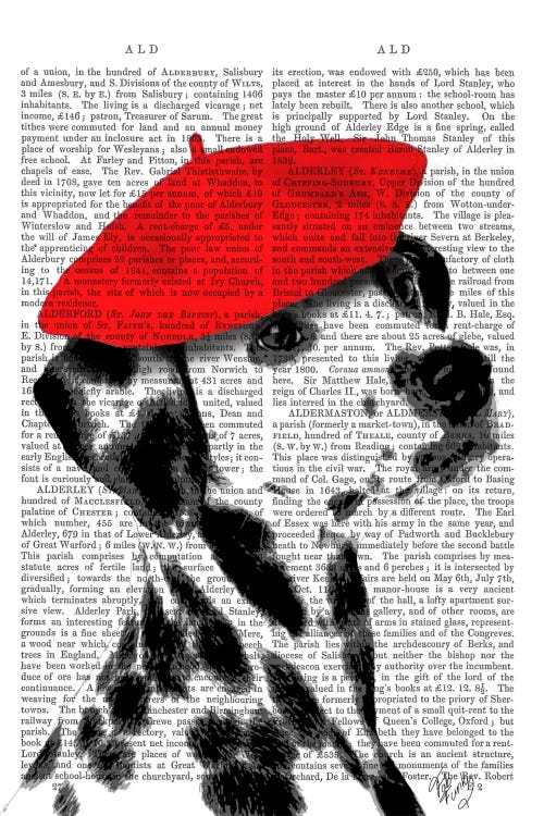 Dalmatian With Red Beret II