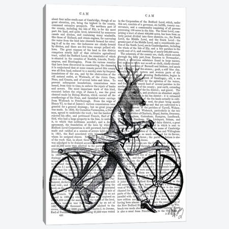 Dandy Deer On Vintage Bicycle Canvas Print #FNK990} by Fab Funky Canvas Art