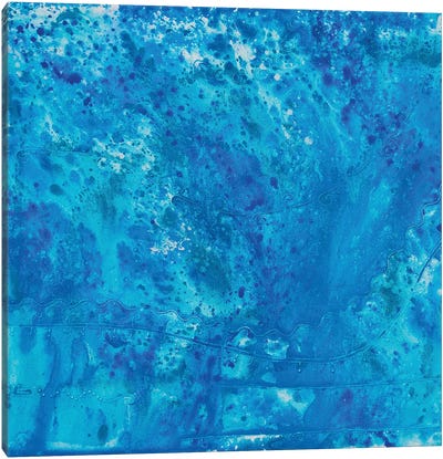 Blue Stone Canvas Art Print - Fred Odle