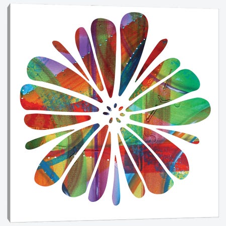 Multi Colour Flower Canvas Print #FOD184} by Fred Odle Canvas Artwork