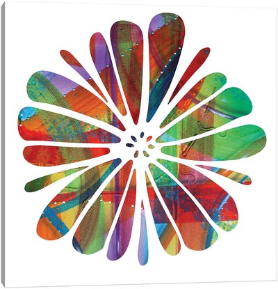 Multi Colour Flower Canvas Art Print - Fred Odle