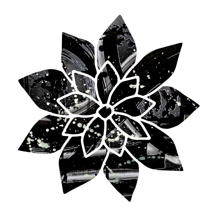 Black And White Flower